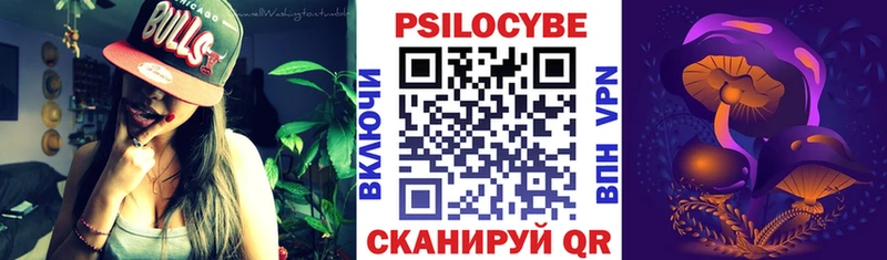 купить закладку  Новая Ладога  Псилоцибиновые грибы прущие грибы 