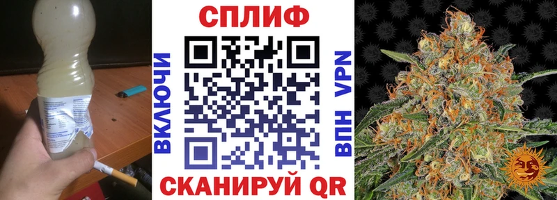 МАРИХУАНА план  Новая Ладога 